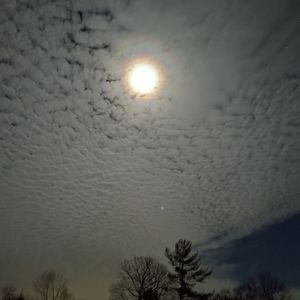 Meet your Posher, Nikki